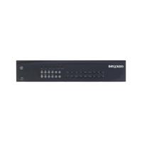 BS2832, 32-канальный IP-видеорегистратор