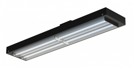 V-lux 50 L – №1